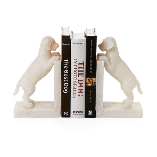 Playful Puppy Dog Set of 2 Book Ends