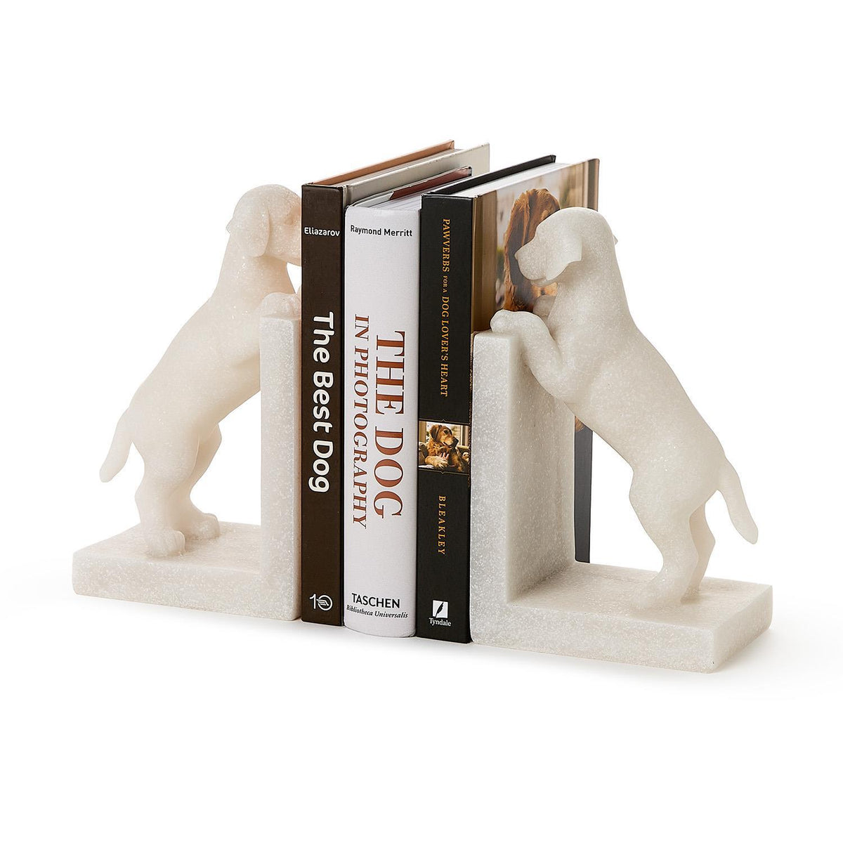 Playful Puppy Dog Set of 2 Book Ends