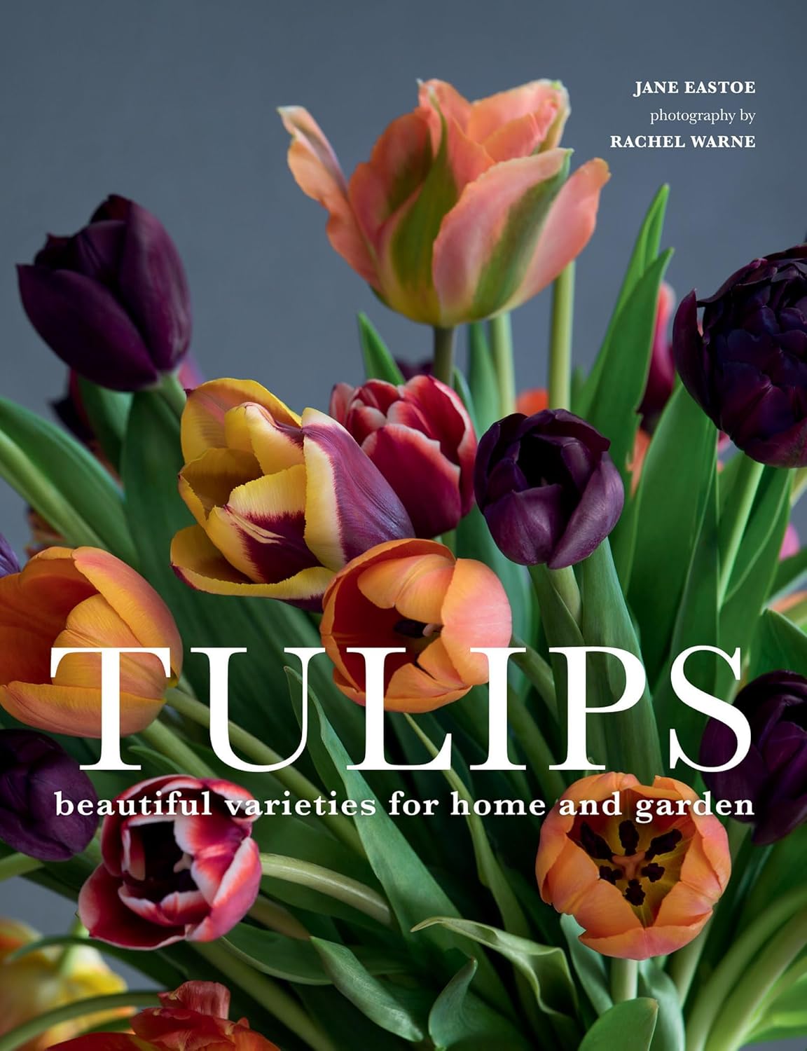 "Tulips" Coffee Table Book
