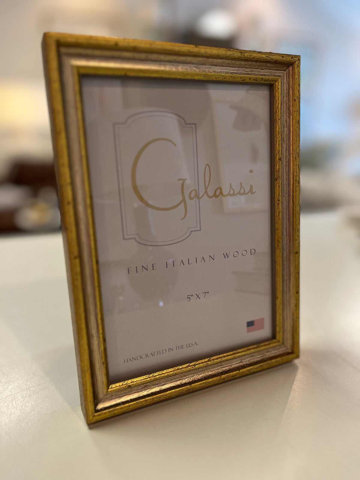 Gold with Silver Traditional Frame 5x7