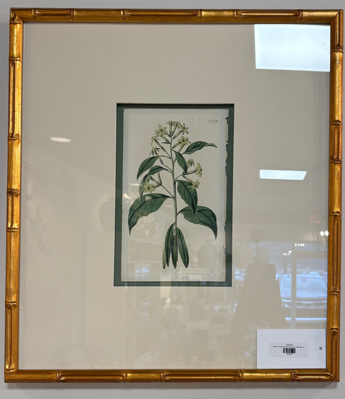 Custom Framed Botanical with Green Back Mat, 16x18