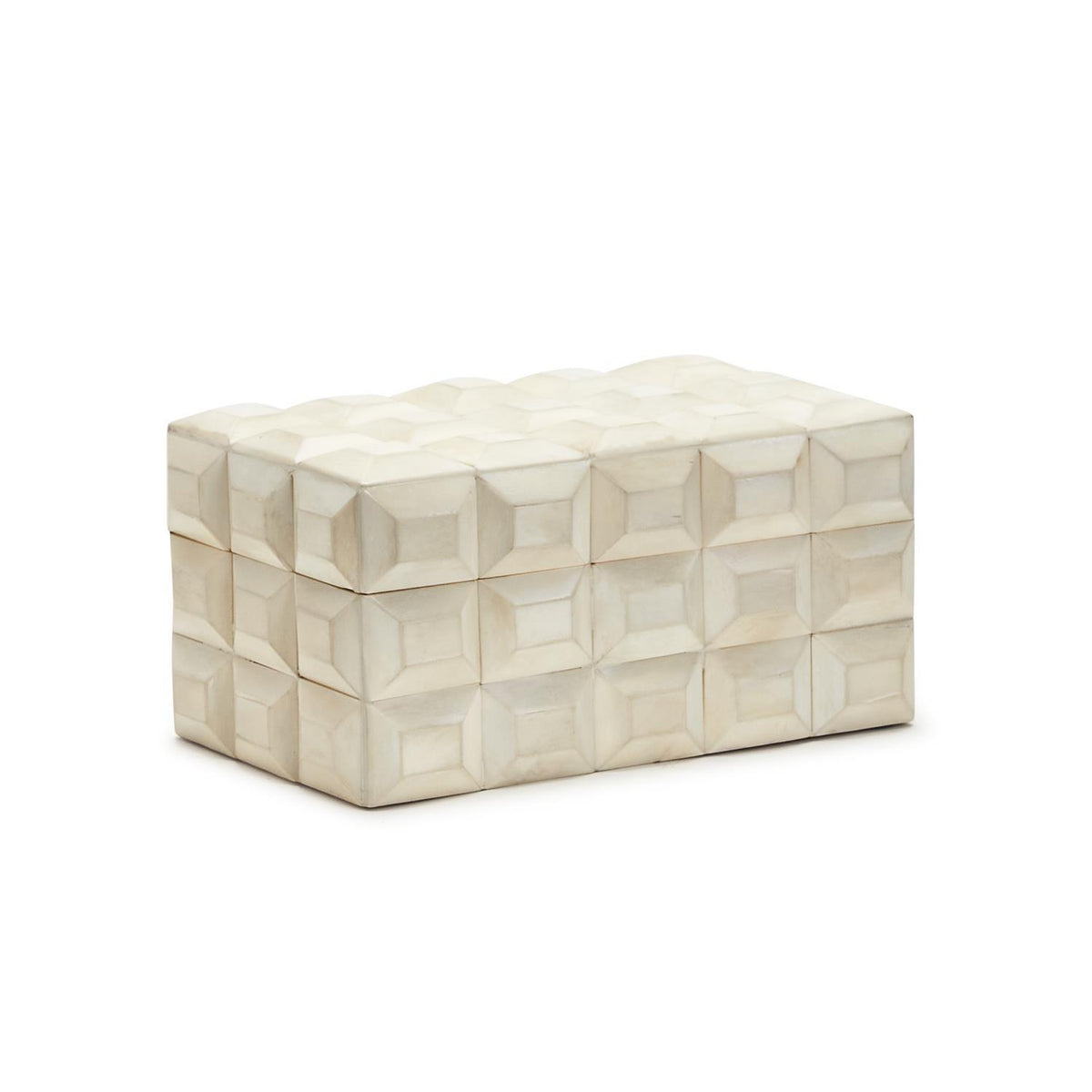 Paneled Bone Box