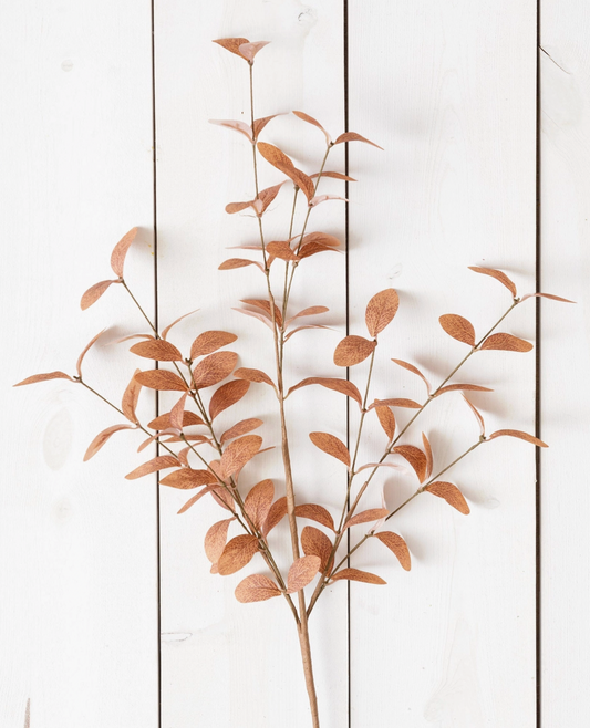 Cocoa Fall Foliage Branch